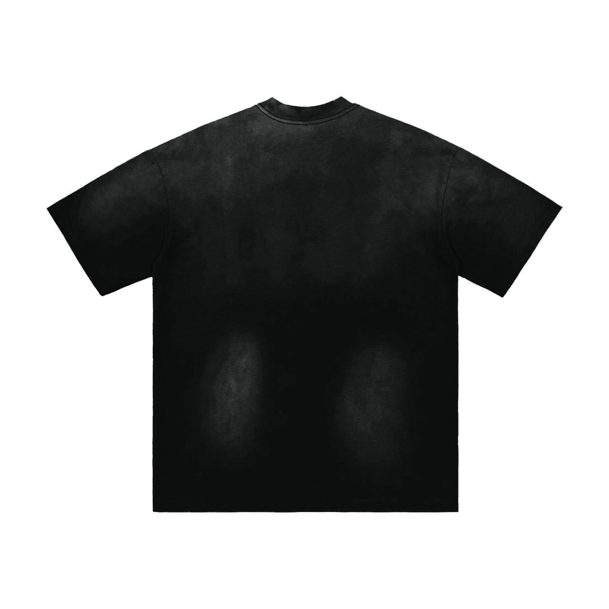 Romans 8:3 Sunfade T-Shirt